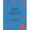 Jan Koula / novorenesančník a vlastimil / užité umění v tvorbě architekta 19. století