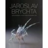 JAROSLAV BRYCHTA (Monografie autorovi tvorby)