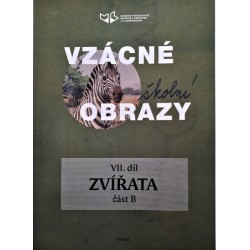 VZÁCNÉ ŠKOLNÍ OBRAZY VII....