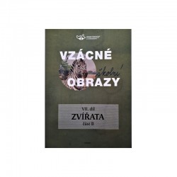 VZÁCNÉ ŠKOLNÍ OBRAZY  I. -XI.  (11dílů)